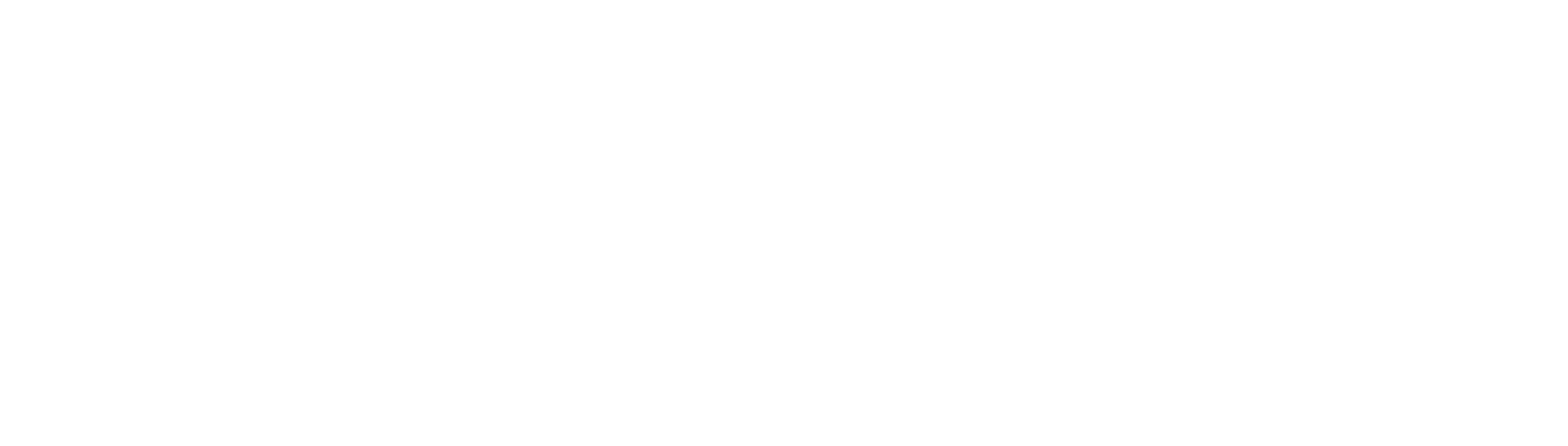 NOYOAI Logo